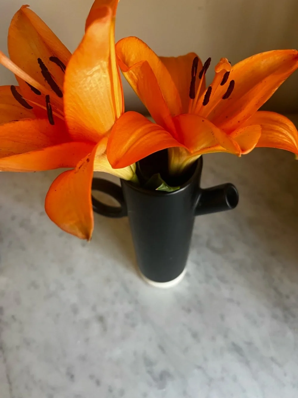 Crate & Barrel Minimalist Mid Century Modern Ceramic Japandi Scandinavian Vase
